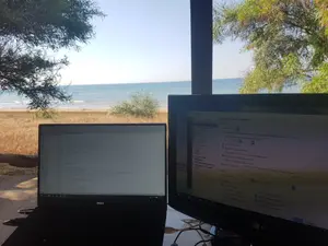 Working remote watching the sea